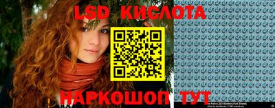 сатива Ставрополь