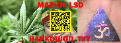 сатива Ставрополь