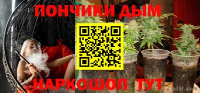 сатива Ставрополь