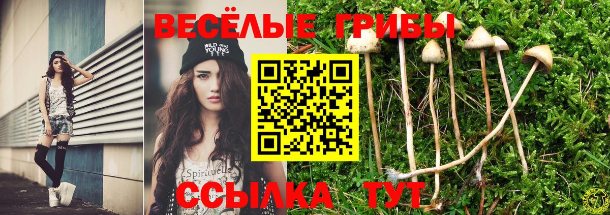 Галлюциногенные грибы мицелий  Вход с VPN  Ногинск 